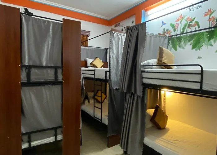Alex Hostel