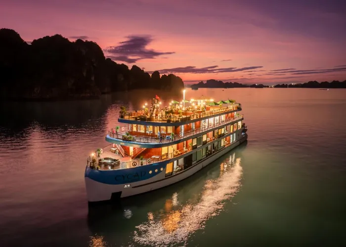 Cycad Cruise