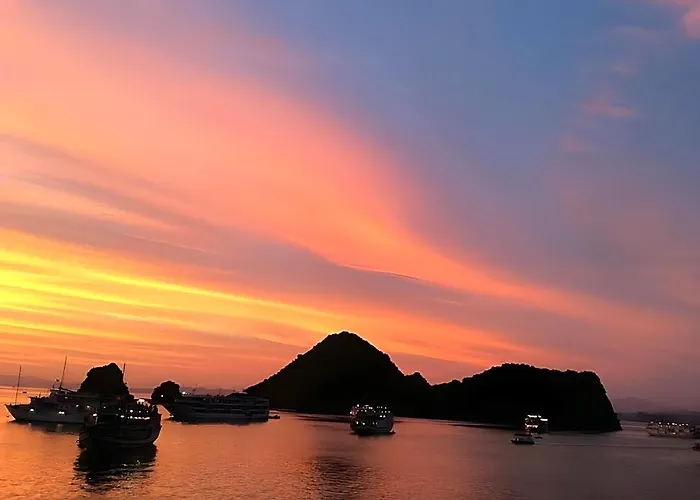 Halong Paloma Cruise